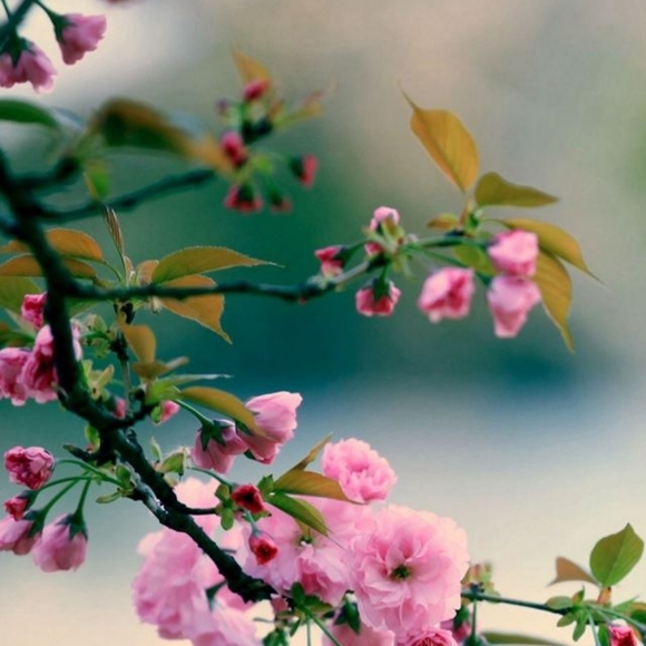 Meet your Posher, Nick - Picture 2 of 2